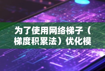 为了使用网络梯子（梯度积累法）优化模型参数，以下是一个清晰的步骤指南