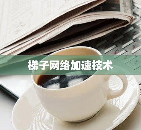梯子网络加速技术 梯子网络加速技术