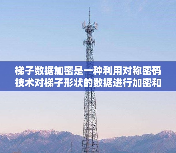 梯子数据加密是一种利用对称密码技术对梯子形状的数据进行加密和解密的方法。以下是其基本原理和实现步骤的详细说明
