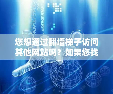 您想通过翻墙梯子访问其他网站吗？如果您找不到链接，可以通过以下步骤引导您进入正确的访问页面
