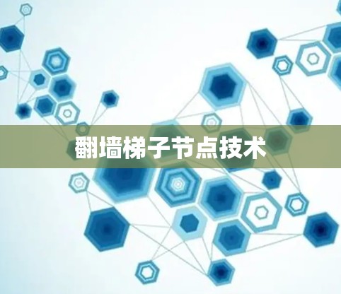 翻墙梯子节点技术 翻墙梯子节点技术