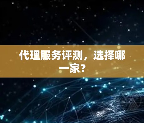 代理服务评测，选择哪一家？