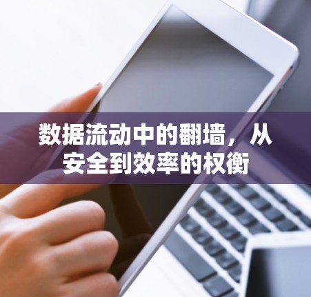 数据流动中的翻墙,从安全到效率的权衡 数据流动中的翻墙,从安全到效率的权衡