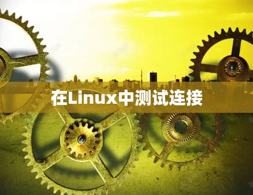在Linux中测试连接 在Linux中测试连接