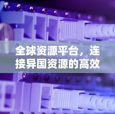 全球资源平台，连接异国资源的高效工具