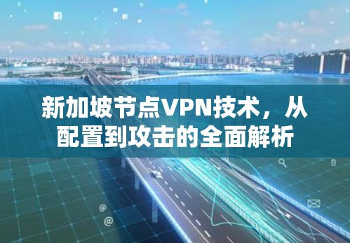 新加坡节点VPN技术，从配置到攻击的全面解析