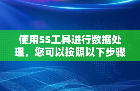 使用SS工具进行数据处理，您可以按照以下步骤进行