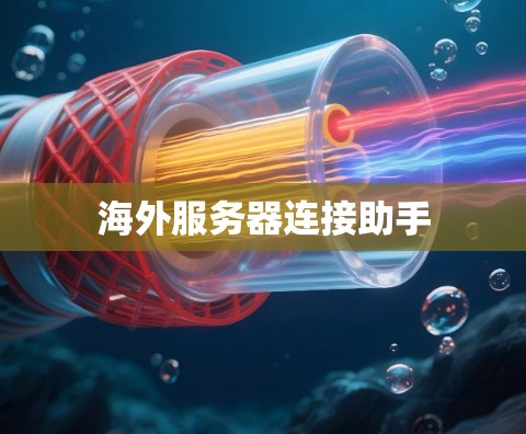 海外服务器连接助手