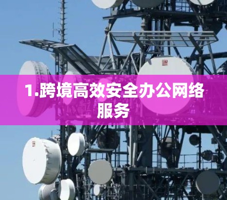 1.跨境高效安全办公网络服务