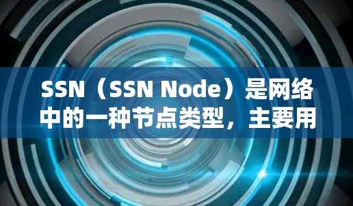 SSN（SSN Node）是网络中的一种节点类型，主要用于支持多设备和多端点的连接。SSN节点通过协议（如$iSCAD$或$iSCAD\连接多个设备和端点，支持多设备的远程控制和共享