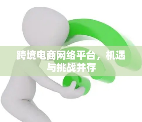 跨境电商网络平台，机遇与挑战并存