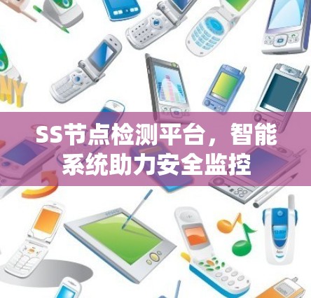 SS节点检测平台，智能系统助力安全监控