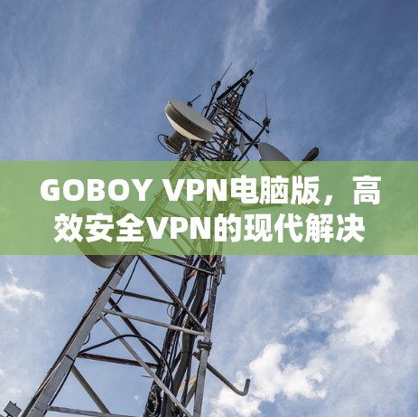GOBOY VPN电脑版，高效安全VPN的现代解决方案