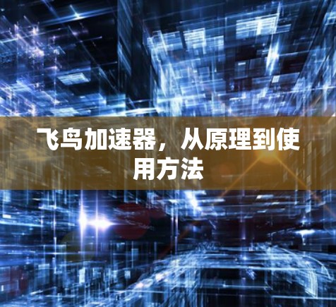 飞鸟加速器，从原理到使用方法