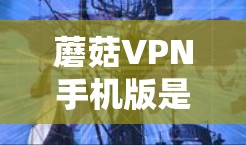 蘑菇VPN手机版是一个手机应用，旨在提供安全、便捷的VPN服务。以下是对该应用的分步解释
