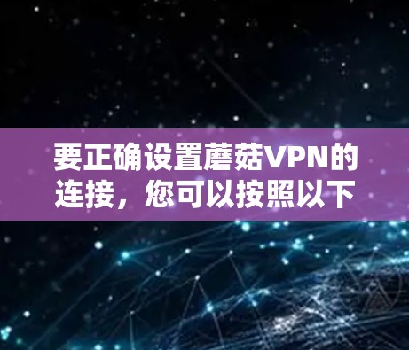 要正确设置蘑菇VPN的连接，您可以按照以下详细步骤进行