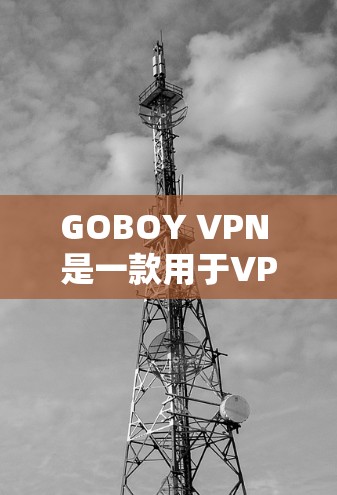 GOBOY VPN 是一款用于VPN的软件，通常被用来测试和优化网络性能。以下是一些关于测试和性能优化的建议
