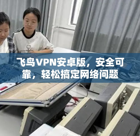 飞鸟VPN安卓版，安全可靠，轻松搞定网络问题