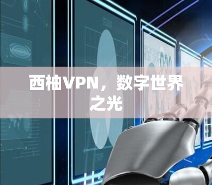 西柚VPN，数字世界之光