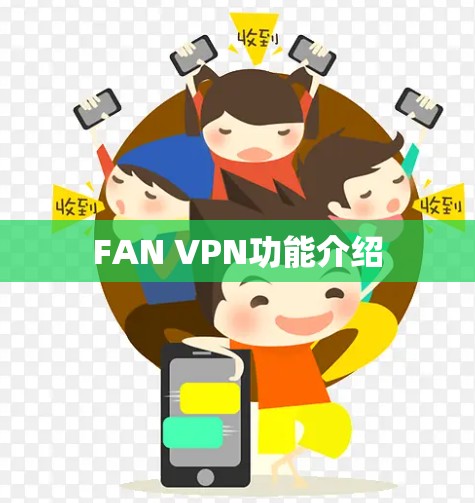 FAN VPN功能介绍