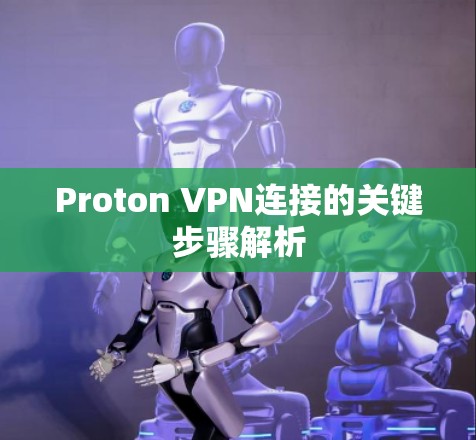 Proton VPN连接的关键步骤解析