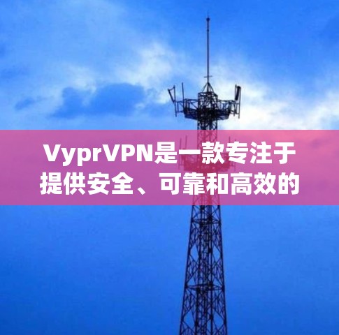 VyprVPN是一款专注于提供安全、可靠和高效的网络VPN服务的公司产品。它通过多点接入、加密传输、质量控制和安全措施等核心功能，让用户轻松连接多台电脑，享受安全而丰富的网络体验