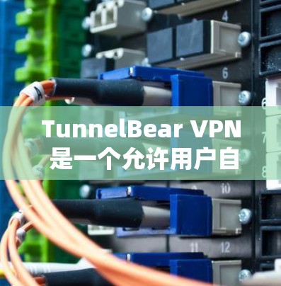 TunnelBear VPN 是一个允许用户自定义VPN连接的软件，提供多种设置选项和功能，适合需要更多控制的用户。以下是安装指南的详细步骤