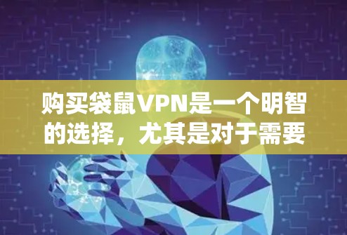 购买袋鼠VPN是一个明智的选择，尤其是对于需要长时间在线和安全性的用户。以下是一个系统化的步骤，帮助您顺利使用袋鼠VPN