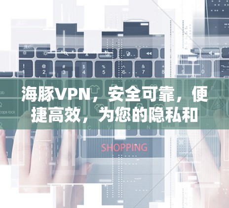 海豚VPN，安全可靠，便捷高效，为您的隐私和数据保驾护航