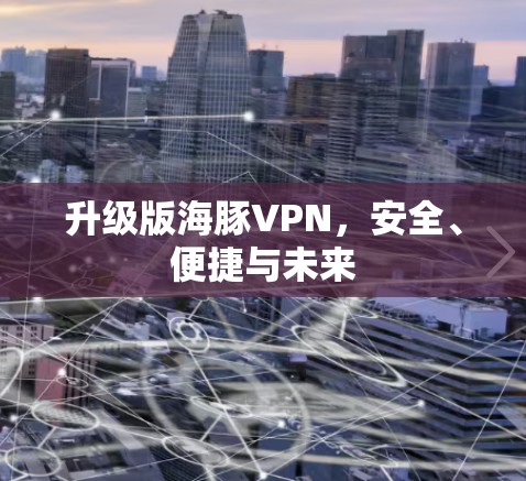升级版海豚VPN，安全、便捷与未来