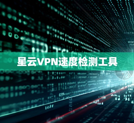 星云VPN速度检测工具 星云VPN速度检测工具