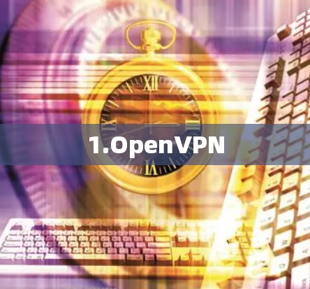 1.OpenVPN 1.OpenVPN