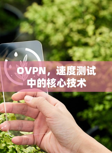 OVPN,速度测试中的核心技术 OVPN,速度测试中的核心技术