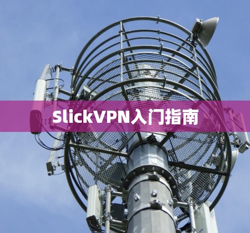 SlickVPN入门指南