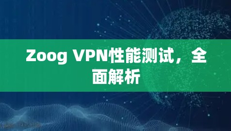 Zoog VPN性能测试，全面解析