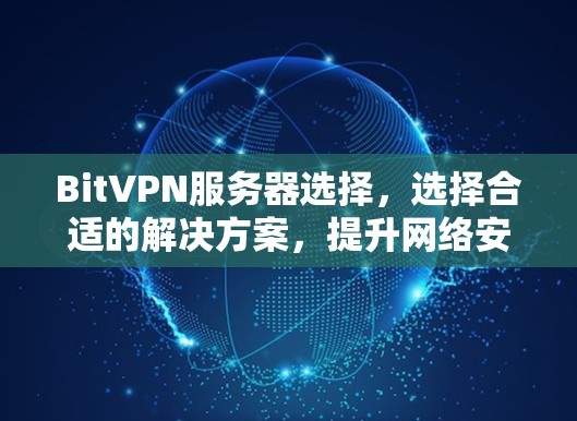 BitVPN服务器选择,选择合适的解决方案,提升网络安全 BitVPN服务器选择,选择合适的解决方案,提升网络安全