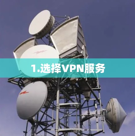 1.选择VPN服务 1.选择VPN服务