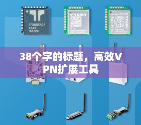 38个字的标题，高效VPN扩展工具