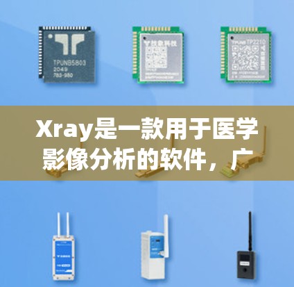 Xray是一款用于医学影像分析的软件，广泛应用于CT、MRI等领域的成像处理和分析。以下是对Xray的详细使用说明，帮助用户高效使用该工具