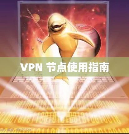 VPN 节点使用指南
