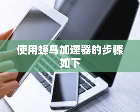 使用蜂鸟加速器的步骤如下 使用蜂鸟加速器的步骤如下