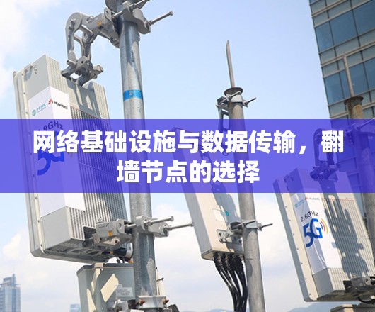 网络基础设施与数据传输，翻墙节点的选择