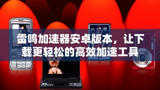 雷鸣加速器安卓版本，让下载更轻松的高效加速工具