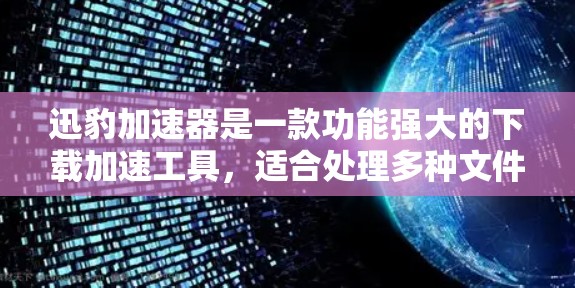迅豹加速器是一款功能强大的下载加速工具，适合处理多种文件格式，包括MP3、AVI、MOV等。以下是对迅豹加速器的详细总结和建议