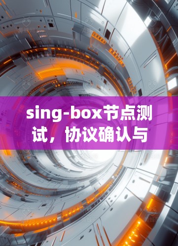 sing-box节点测试,协议确认与性能优化 sing-box节点测试,协议确认与性能优化