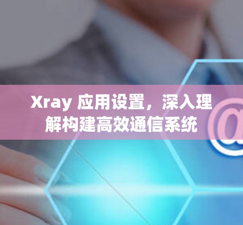 Xray 应用设置，深入理解构建高效通信系统