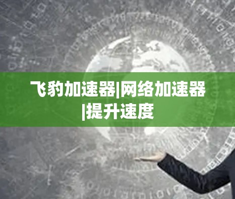 飞豹加速器|网络加速器|提升速度 飞豹加速器|网络加速器|提升速度