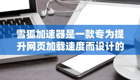 雪狐加速器是一款专为提升网页加载速度而设计的加速工具，具有多种功能和优化选项，适合不同需求的用户。以下是对其的评测