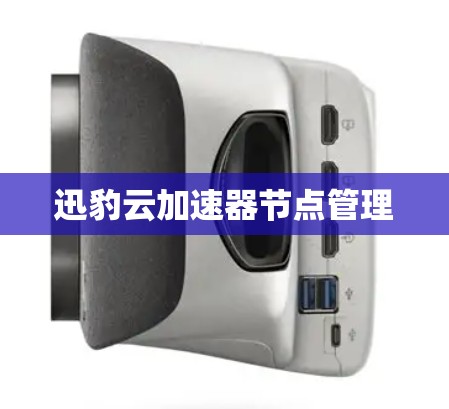 迅豹云加速器节点管理