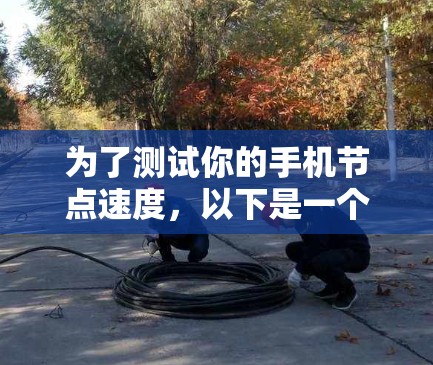 为了测试你的手机节点速度,以下是一个清晰的步骤指南 为了测试你的手机节点速度,以下是一个清晰的步骤指南